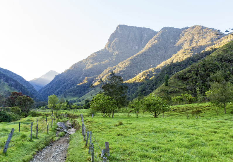 parque nacional los nevados